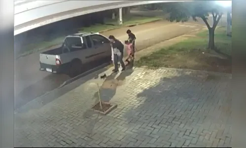 Câmera flagra mulher chutando filhote de gato; criança imita atitude