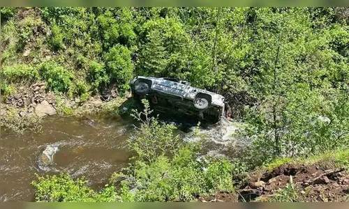 Motorista sofre acidente e cão percorre quase 7 km atrás de ajuda