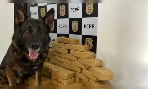Polícia Civil apreende 70 kg de crack avaliados em R$ 3,5 mi no PR