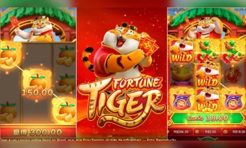 Empregado desvia R$ 500 mil para apostar no Jogo do Tigrinho