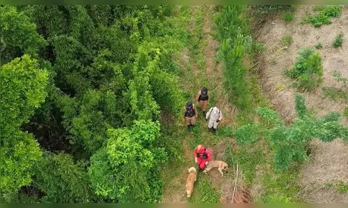 Caso Isis: cães especializados em cadáveres integram buscas em Tibagi