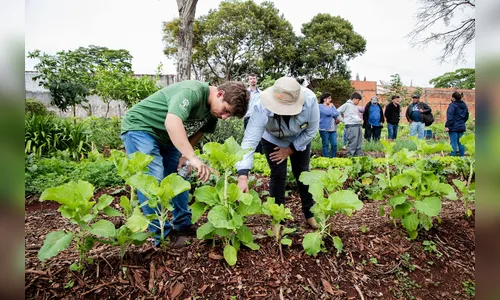 Cessão de áreas da Copel irá ampliar “hortas solidárias” em Apucarana