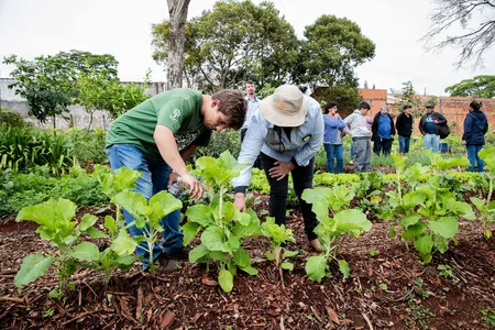 Cessão de áreas da Copel irá ampliar “hortas solidárias” em Apucarana