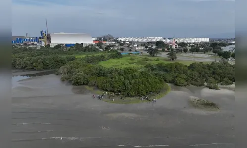 Corpo de adolescente que desapareceu em manguezal é encontrado
