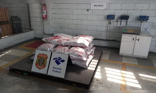 491kg de cocaína são apreendidos dentro de contêiner em porto