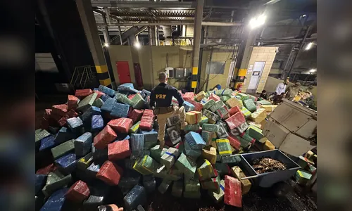 PRF apreende bitrem com 19,5 toneladas de maconha no Paraná