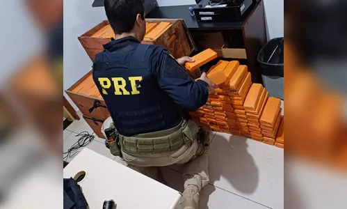 Moradores de Maringá são presos com 245 kg de maconha e carro furtado