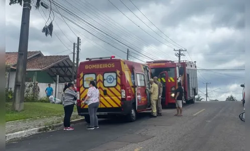 Mulher fica em estado grave após ser atacada por enxame de abelhas