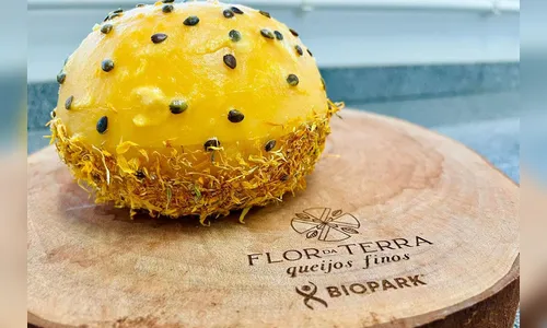 Queijo paranaense está entre os nove melhores do mundo; saiba mais