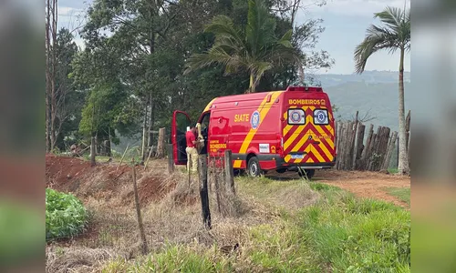 Árvore cai sobre homem de 43 anos e ele é hospitalizado em Apucarana