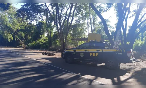 Motociclista morre ao bater em barraca de melão no Norte do PR