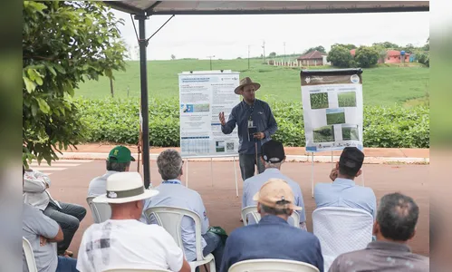 Giro Técnico na Soja divulgará resultados de boas práticas no Paraná