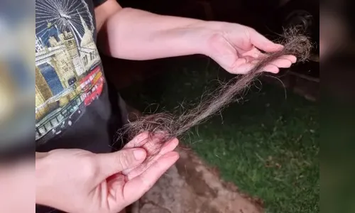 Homem pula portão de mais de 2 metros para agredir mulher na região