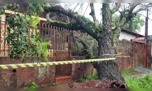 Inmet emite alerta para chuvas intensas no Paraná e outros estados