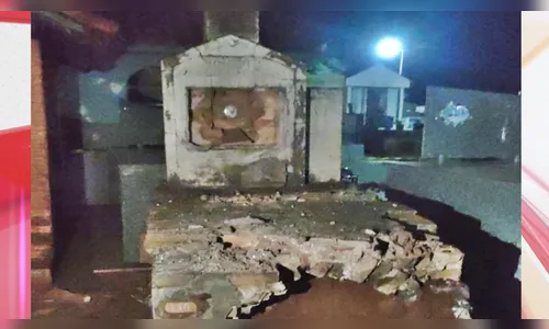 Enxame de abelhas ataca visitantes no Cemitério Municipal de Faxinal