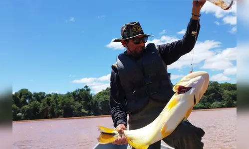 Proibição de pesca predatória na Bacia do Rio Paraná começa na sexta