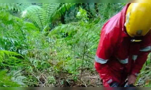 Bombeiros encontram jovens que estavam perdidos em trilha no PR