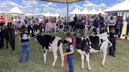 Julgamento de raças leiteiras e Clube da Bezerra marcam na Expovale