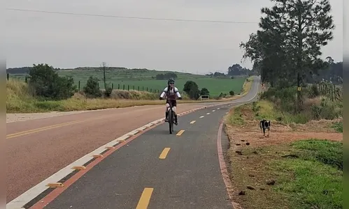 Ciclista que morreu no Paraná pedalava em grupo e caiu de 30 metros