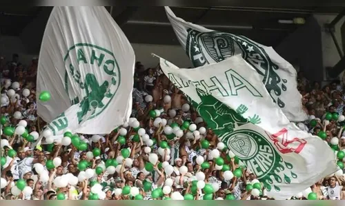 Mancha Alvi Verde é proibida de acessar estádios em SP