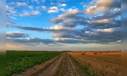 População rural acelera queda e perde 4,3 milhões de pessoas no Brasil