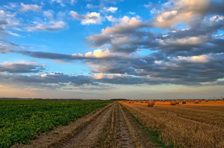 Número de habitantes em áreas rurais encolheu 1,28% ao ano, em média