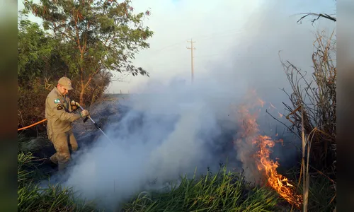 Número de queimadas cresce 101% na região de Apucarana