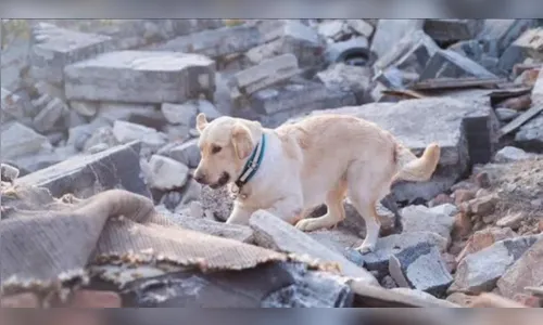 Mortes em Idlib: crianças entre as vítimas