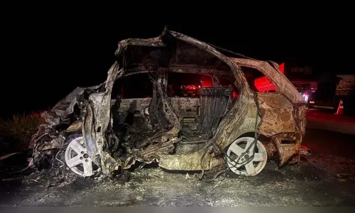 Carro pega fogo após colisão com caminhão na BR-487; dois mortos