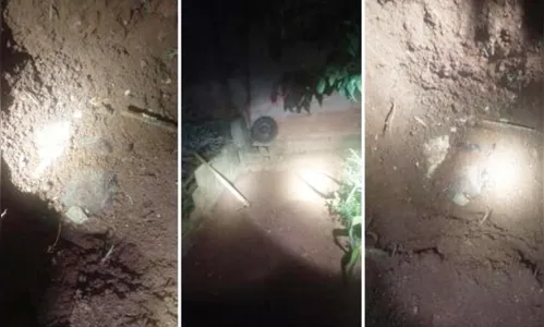 Filho mata e enterra cinco cães da própria mãe e é preso pela PM