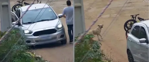 O motorista responsável pelo abandono já foi identificado