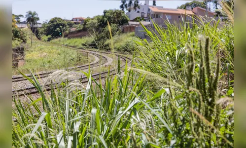 Ofícios são enviados à Rumo, Copel e Eletrosul para roçagens urgentes