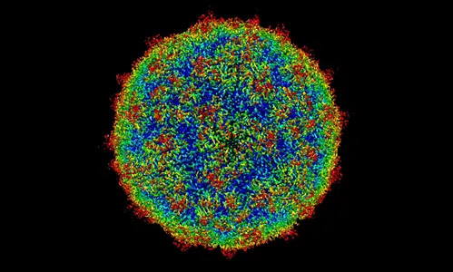 O que é o  rinovírus, que está causando quadros graves em crianças