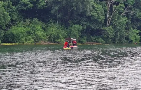 O sumiço deles foi comunicado aos bombeiros na manhã de quarta (27)