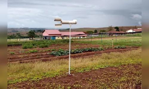 Inteligência Artificial é usada no combate da ferrugem da soja no PR