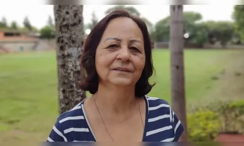 Idosa vai colher frutas e é encontrada morta após ataque de abelhas