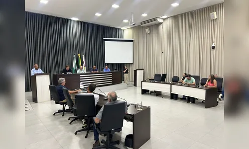 Câmara homenageia UPA e discute situação do negro