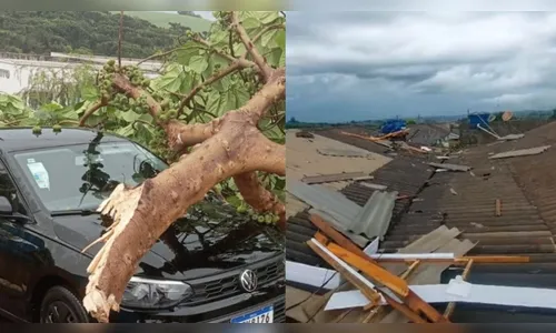Tempestade causa destruição em município do Paraná; assista