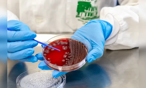 Paraná soma quase 400 mil casos de doenças gastrointestinais