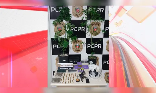 Polícia Civil deflagra operação contra tráfico de drogas em Jandaia