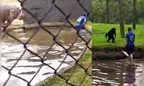 Homem invade jaulas de animais no PR e é preso: 