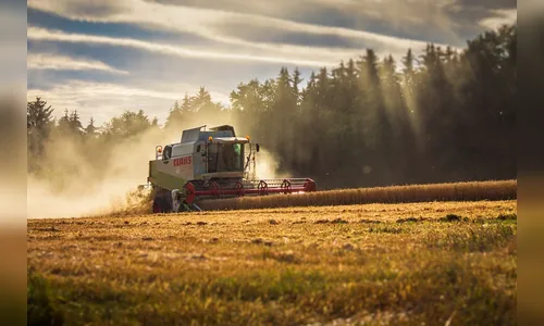 2025 terá produção maior de soja, milho 1ª safra, arroz e feijão