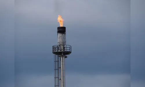 Petróleo fecha em alta, observando indicadores de demanda