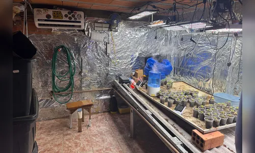 Polícia Civil desmonta esquema para produção de maconha no PR