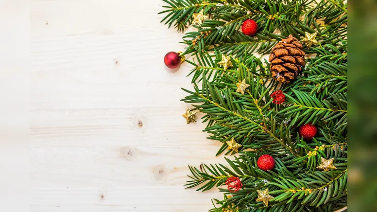 Os tons clássicos para essa data festiva são: vermelho, verde, dourado, prata e branco