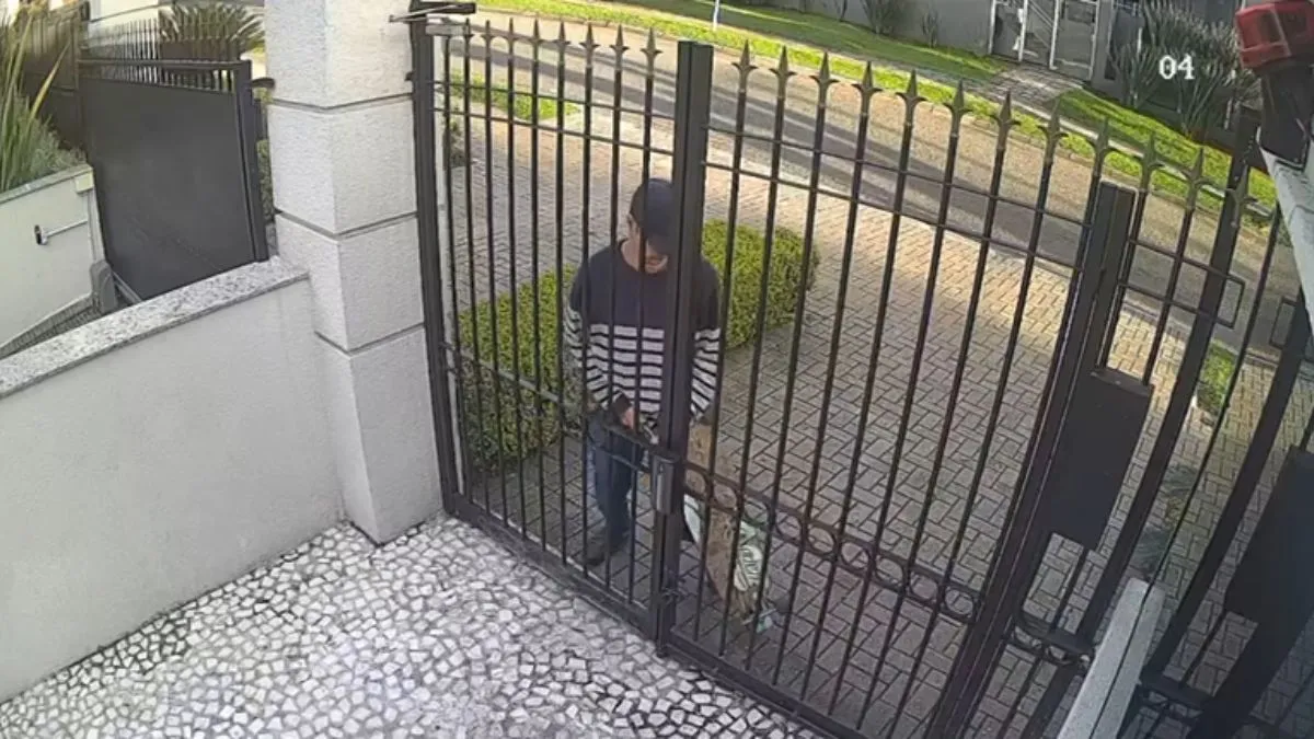 Caso aconteceu em Curitiba, na sexta (13)