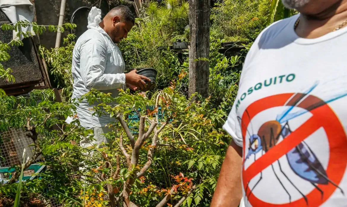 Municípios terão Dia D contra dengue em todo o país; saiba quando será