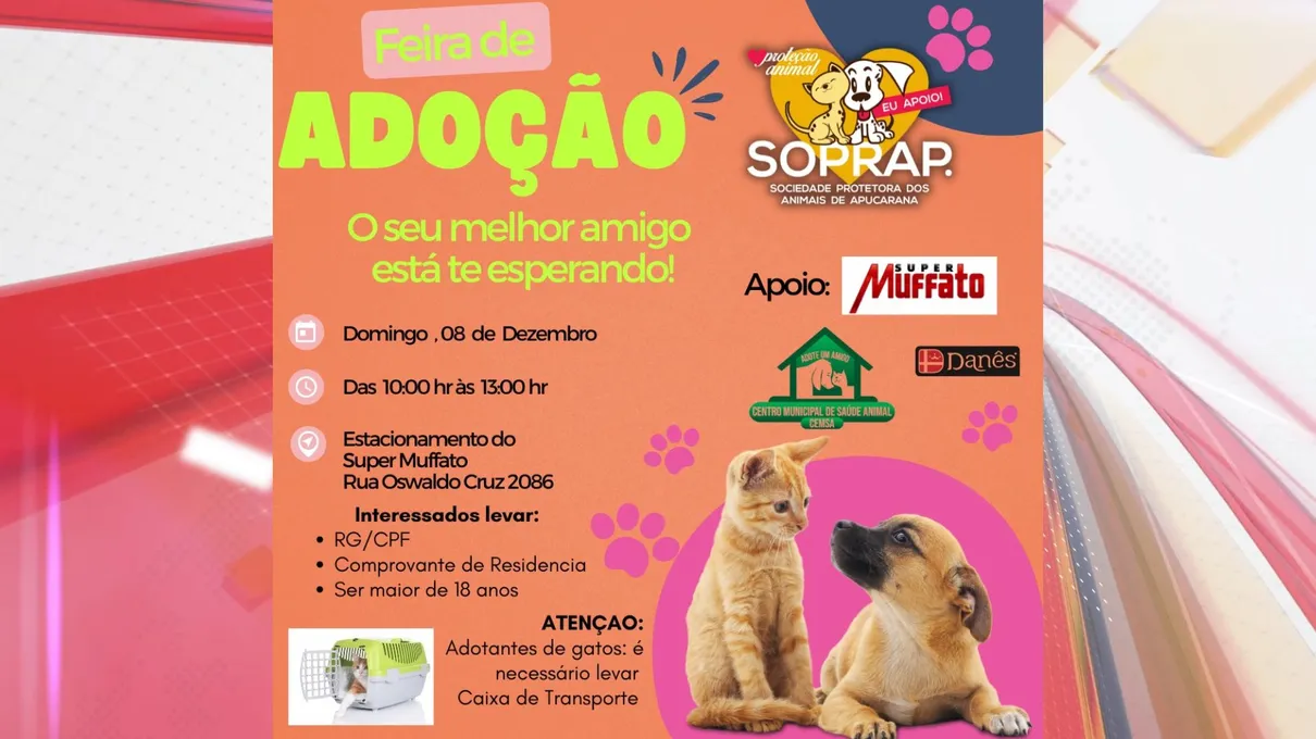 Para adotar, é necessário ser maior de 18 anos, apresentar CPF, RG e comprovante de endereço. Interessados em adotar gatos devem levar uma caixa de transporte para facilitar o deslocamento do animal.