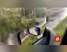 Temporal