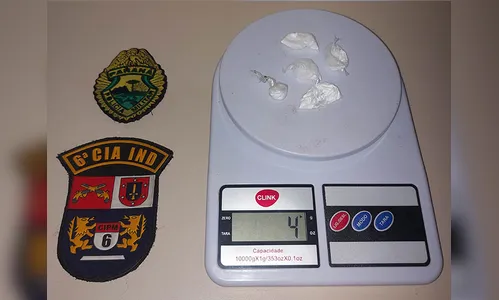 Mulher é presa com drogas escondidas em urso de pelúcia no PR